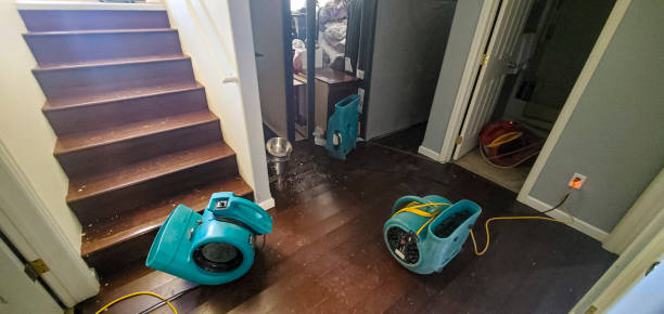 Best Water damage cleanup near me  in Bass Lake, IN