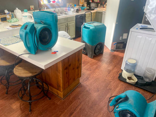 Best Fire Damage Restoration  in Bass Lake, IN