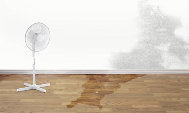 Best 24-hour water damage restoration  in Bass Lake, IN