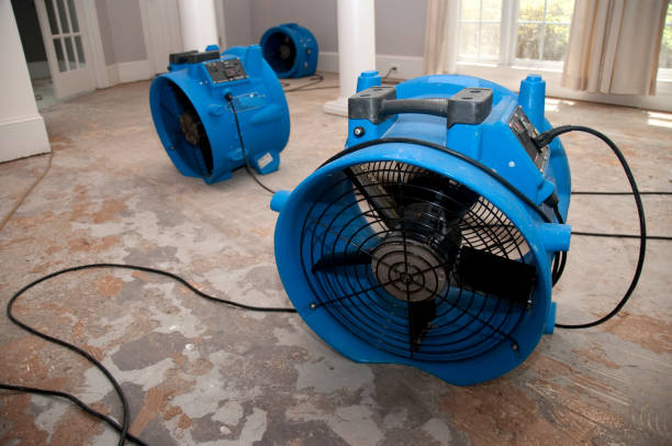 Best Water damage restoration near me  in Bass Lake, IN