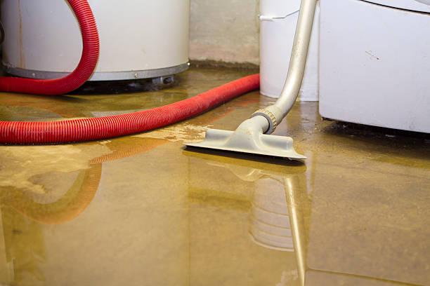 Best Basement water damage restoration  in Bass Lake, IN