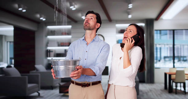 Best Water damage contractors near me  in Bass Lake, IN