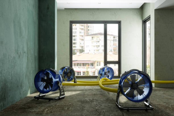 Best Water damage cleanup near me  in Bass Lake, IN