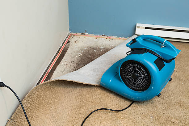 Trusted Bass Lake, IN Water damage restoration Experts