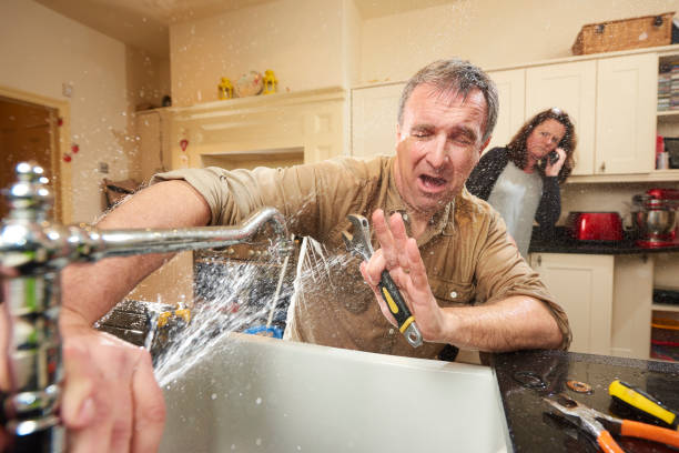 Best Professional water damage repair  in Bass Lake, IN
